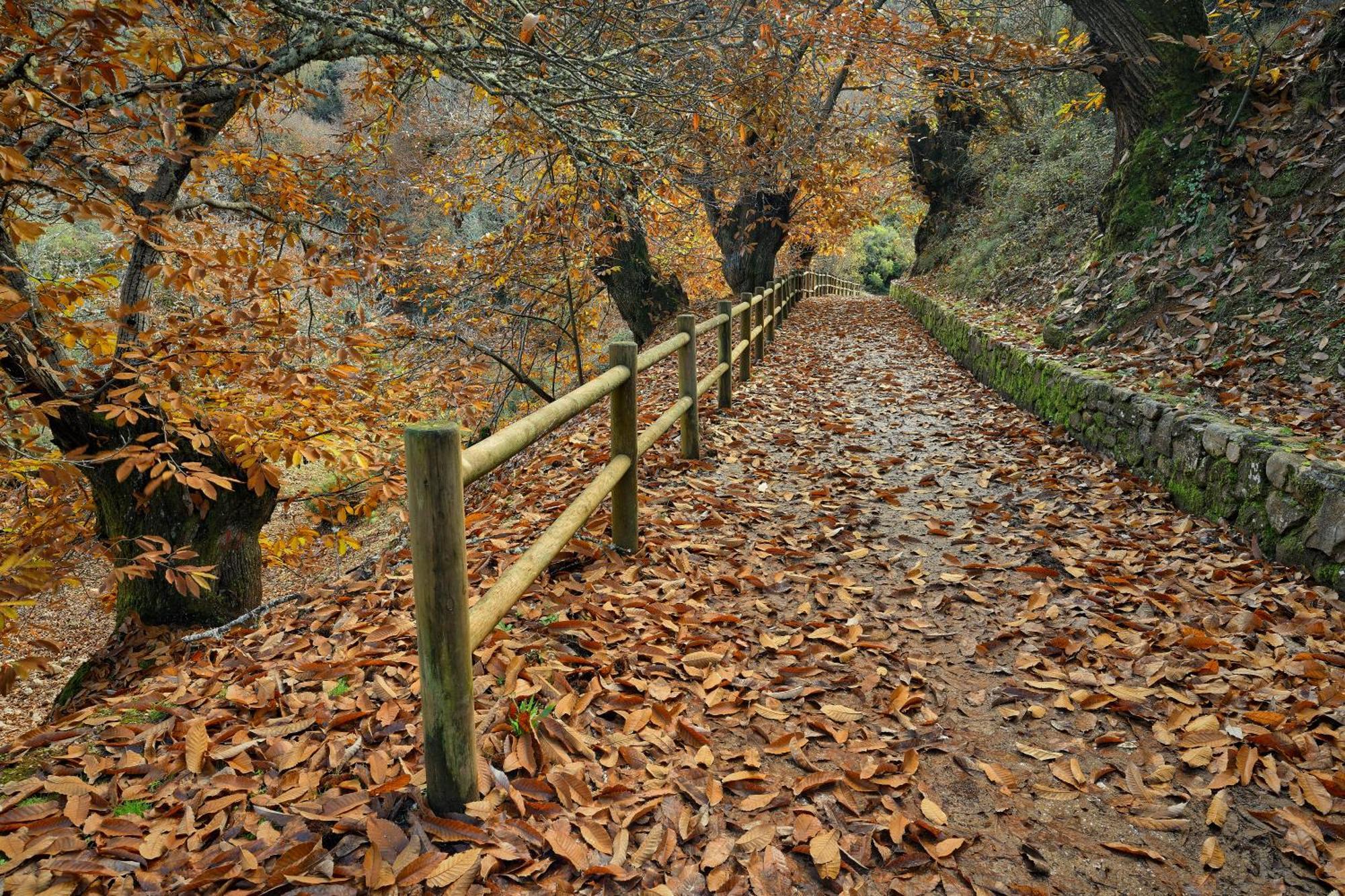 Lares · Cabañas Rurales Las Médulas Exterior foto